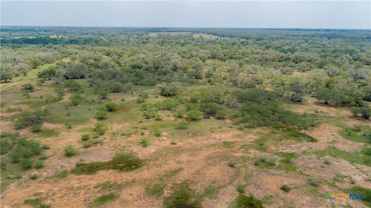 Five Mile Creek Reserve | 252.73± Acres-High Fence | DeWitt County, TX