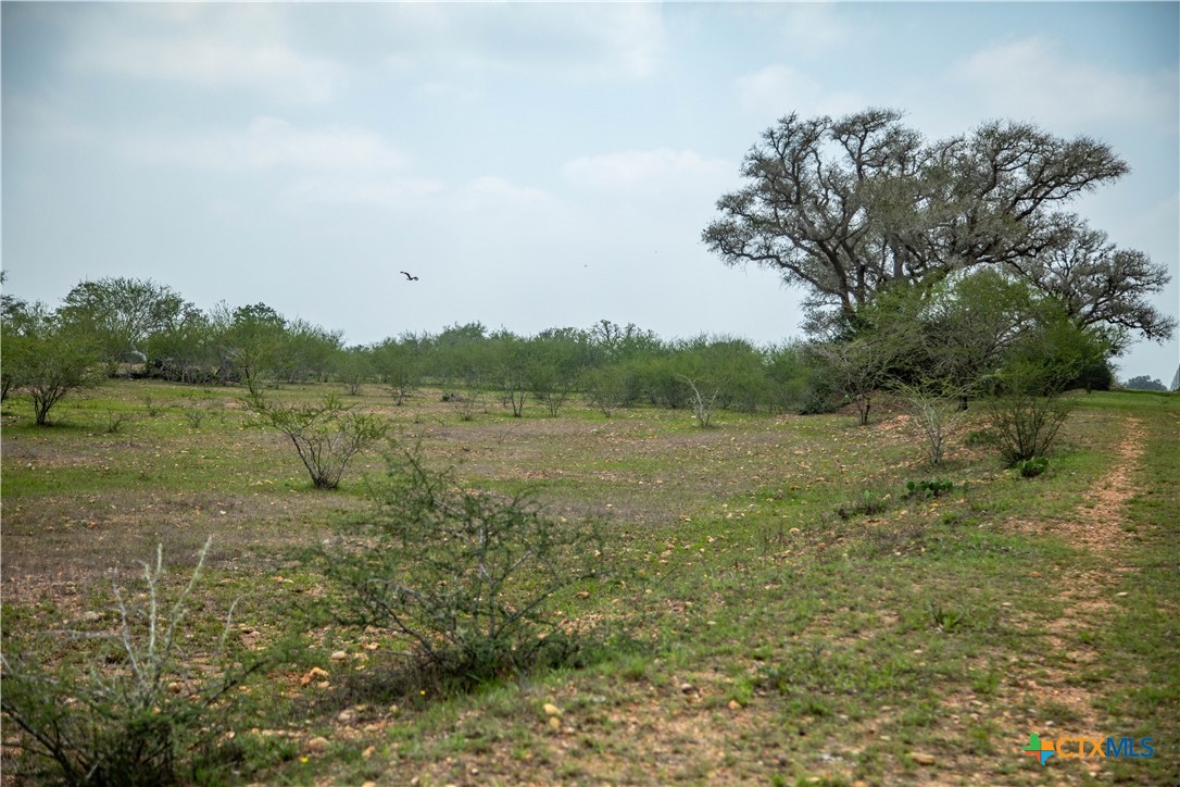 Five Mile Creek Reserve | 252.73± Acres-High Fence | DeWitt County, TX