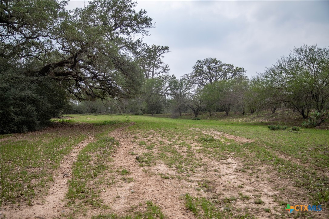 Five Mile Creek Reserve | 252.73± Acres-High Fence | DeWitt County, TX