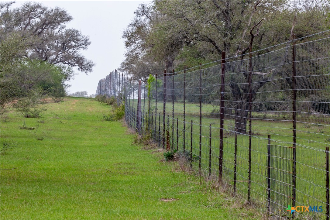 Five Mile Creek Reserve | 252.73± Acres-High Fence | DeWitt County, TX