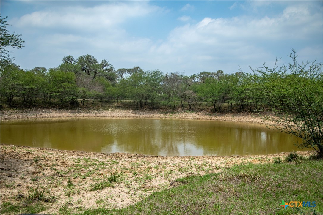 Five Mile Creek Reserve | 252.73± Acres-High Fence | DeWitt County, TX