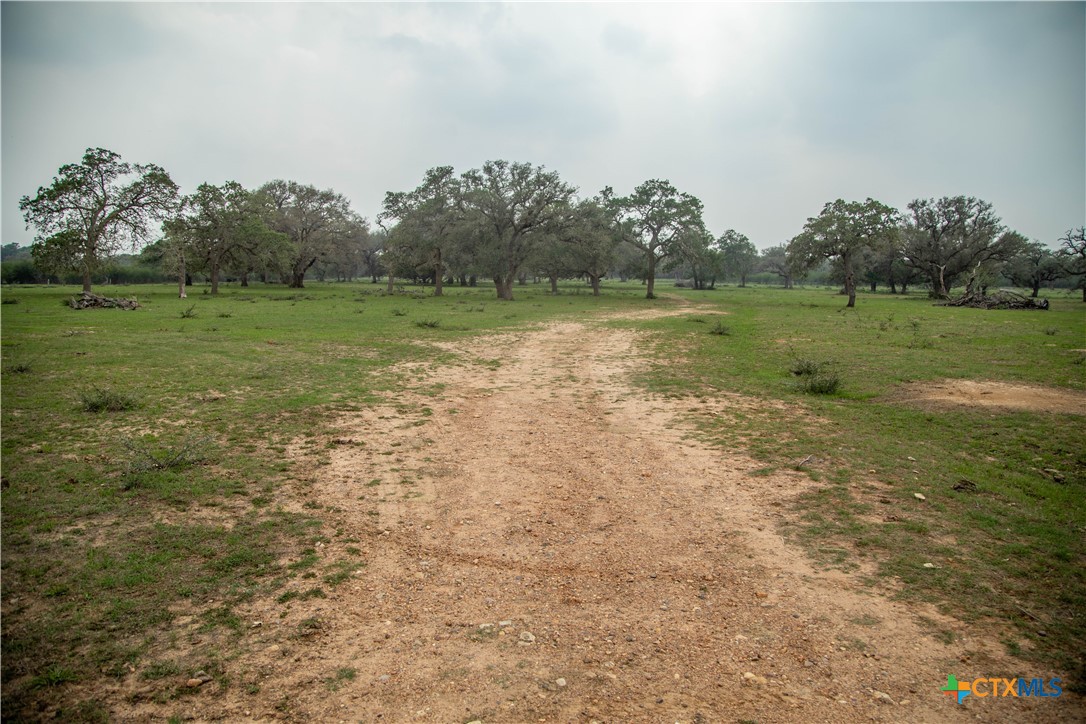 Five Mile Creek Reserve | 252.73± Acres-High Fence | DeWitt County, TX