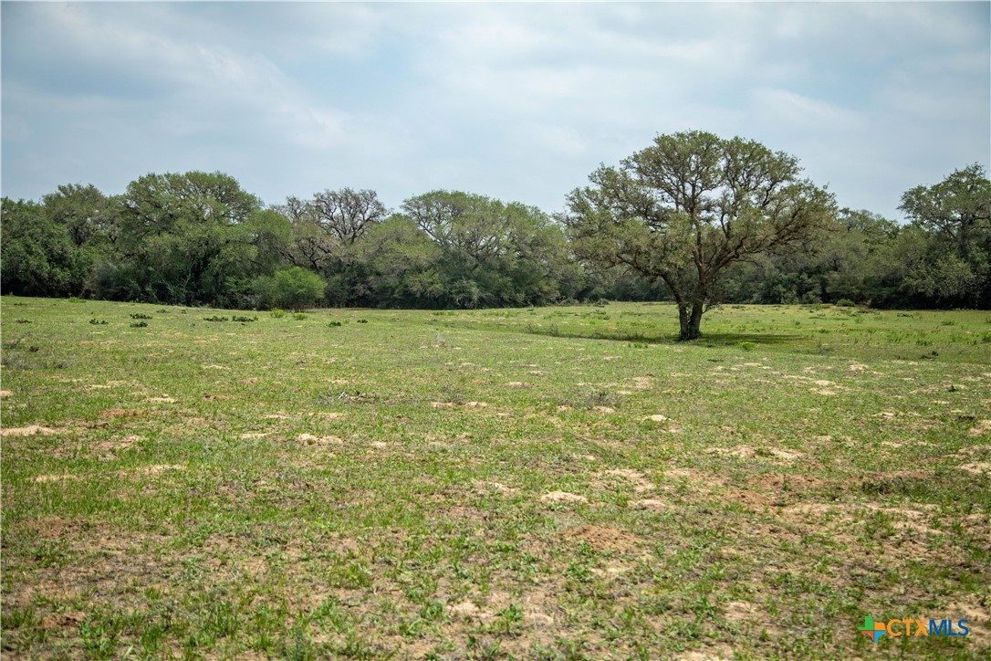 Five Mile Creek Reserve | 252.73± Acres-High Fence | DeWitt County, TX