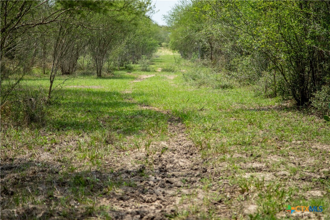 Five Mile Creek Reserve | 252.73± Acres-High Fence | DeWitt County, TX