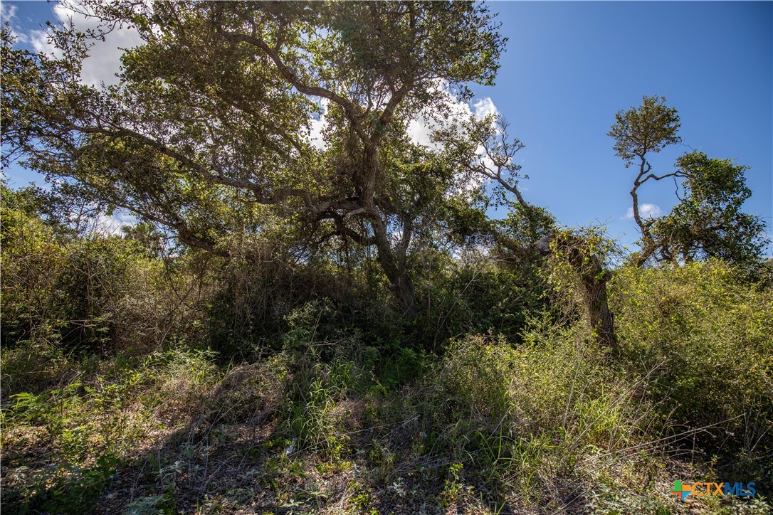 10 acres Unimproved Land | Aransas Pass, Aransas County, Texas 