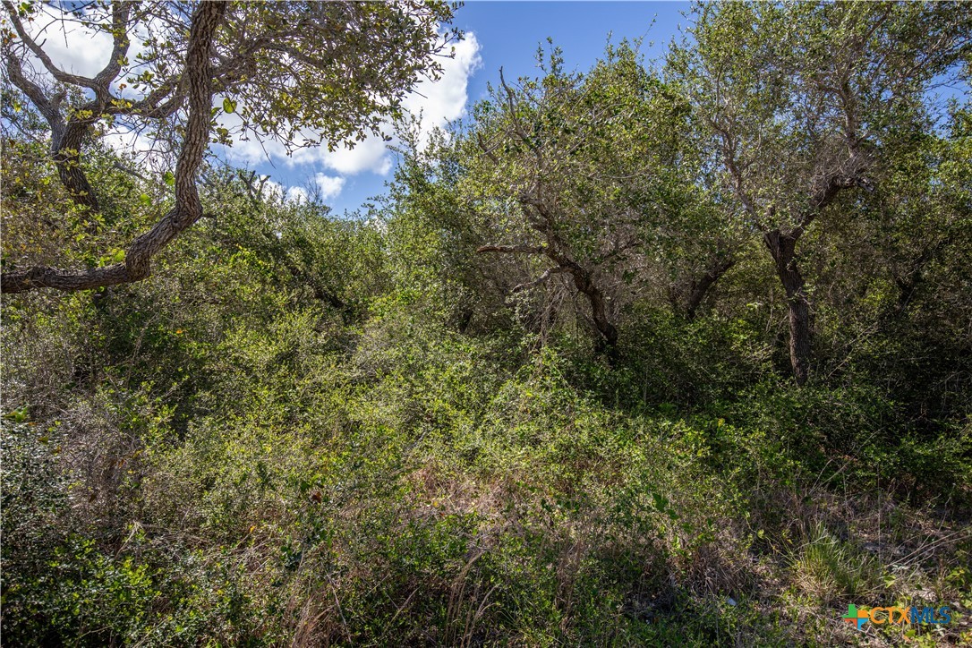 10 acres Unimproved Land | Aransas Pass, Aransas County, Texas 
