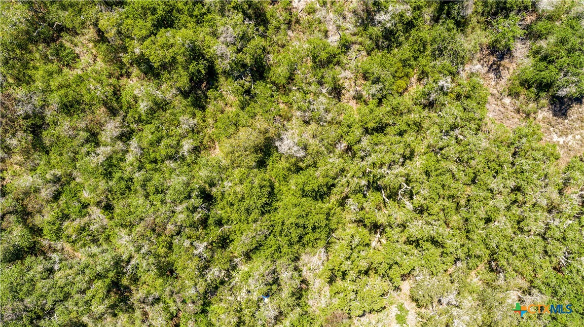 10 acres Unimproved Land | Aransas Pass, Aransas County, Texas 