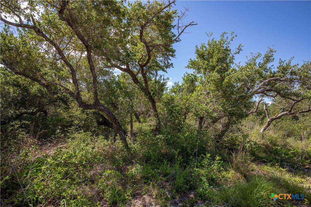 10 acres Unimproved Land | Aransas Pass, Aransas County, Texas 