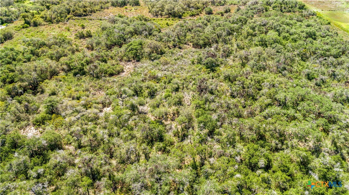 10 acres Unimproved Land | Aransas Pass, Aransas County, Texas 