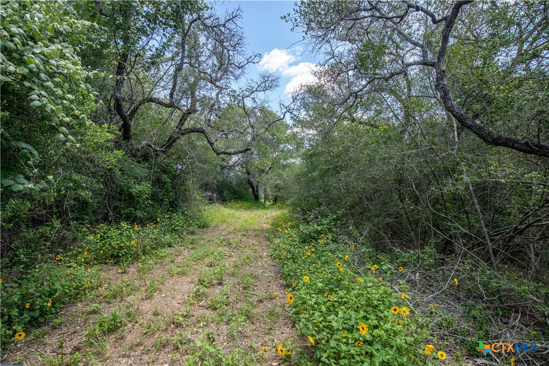 9393 US Highway 87