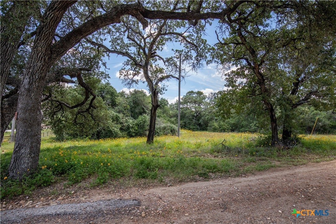 9393 US Highway 87