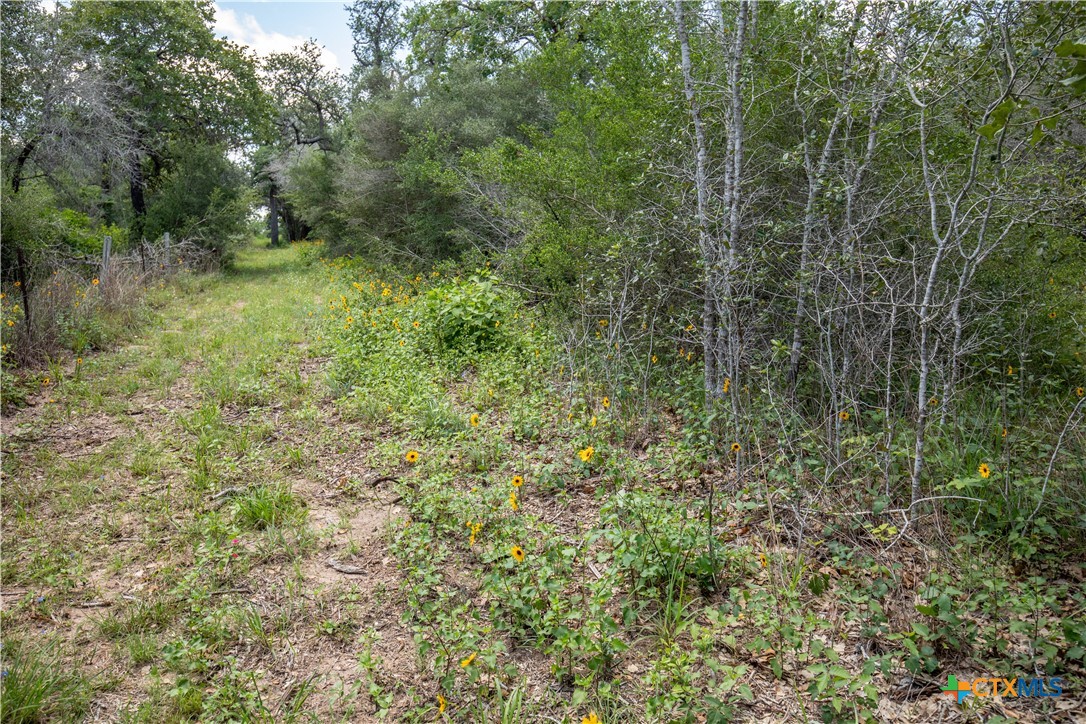9393 US Highway 87