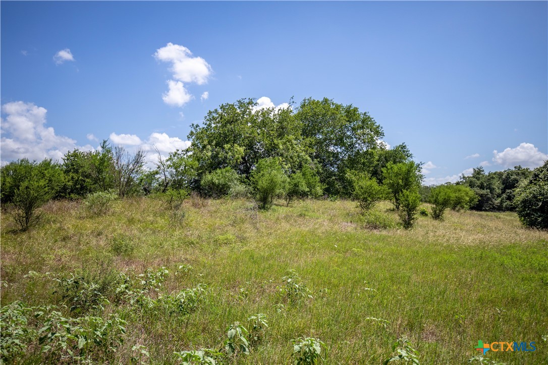 Heritage Oaks Ranch | 125± Acres | Yorktown, DeWitt County