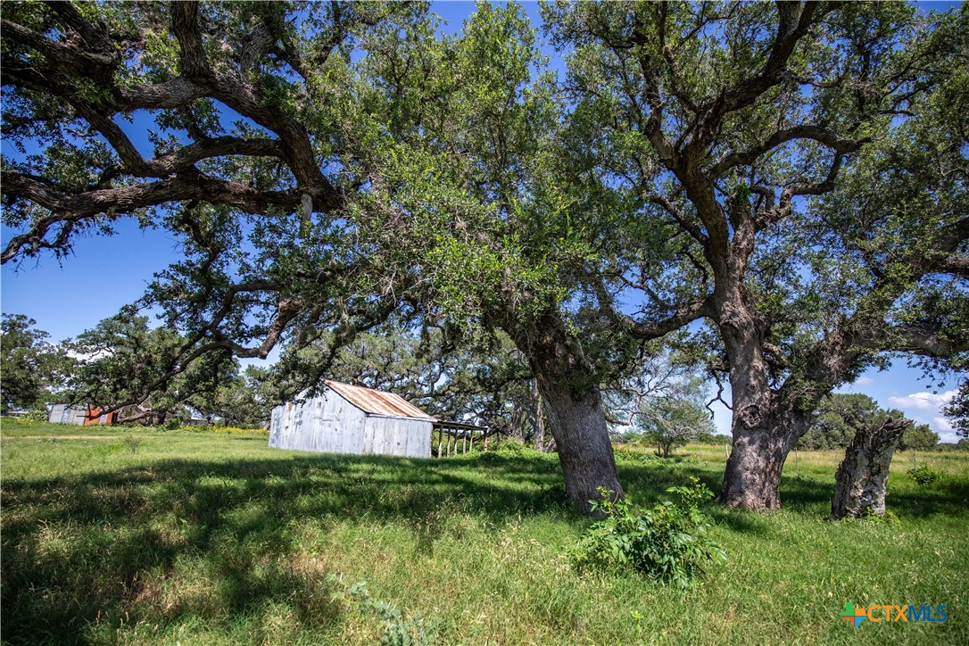 Heritage Oaks Ranch | 125± Acres | Yorktown, DeWitt County
