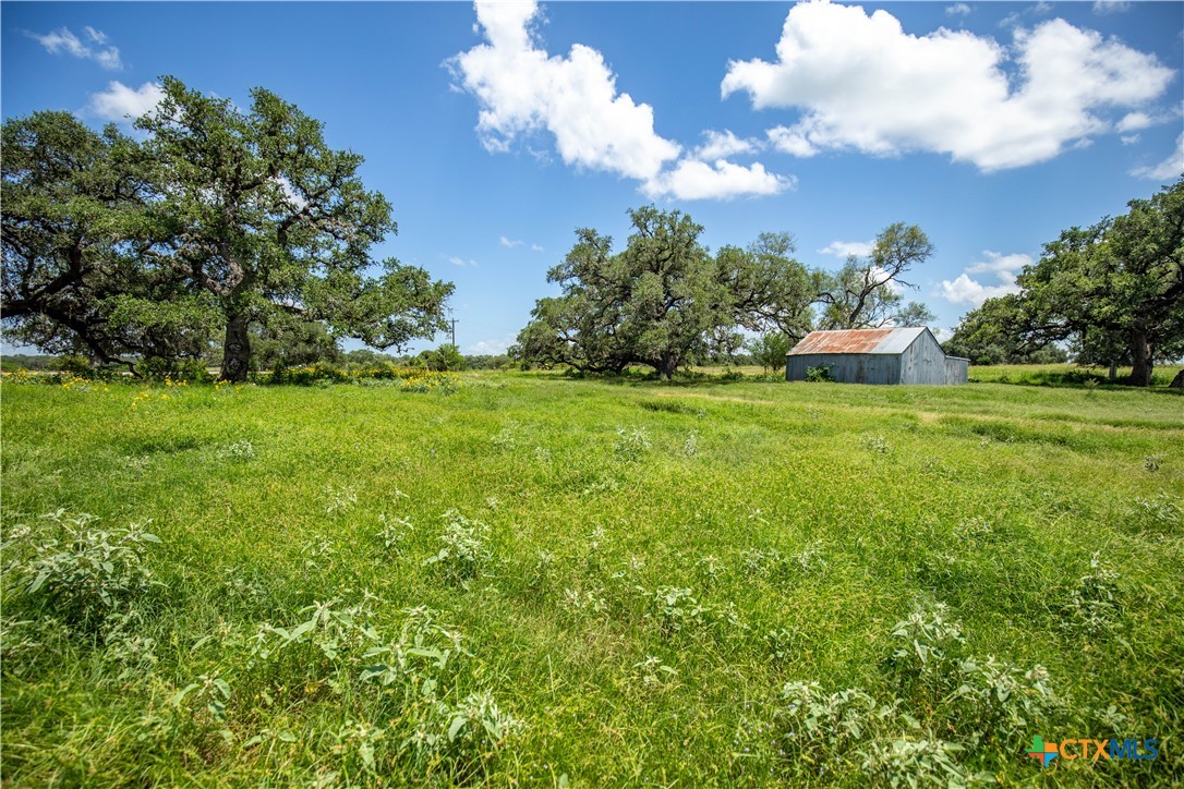 Heritage Oaks Ranch | 125± Acres | Yorktown, DeWitt County