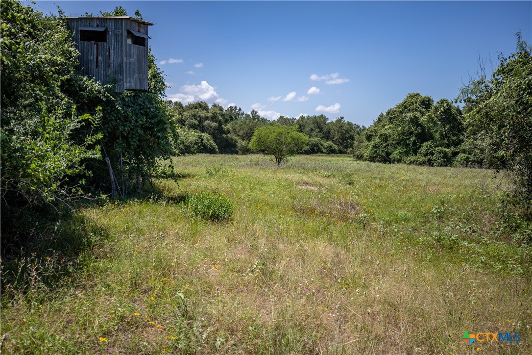 Heritage Oaks Ranch | 125± Acres | Yorktown, DeWitt County