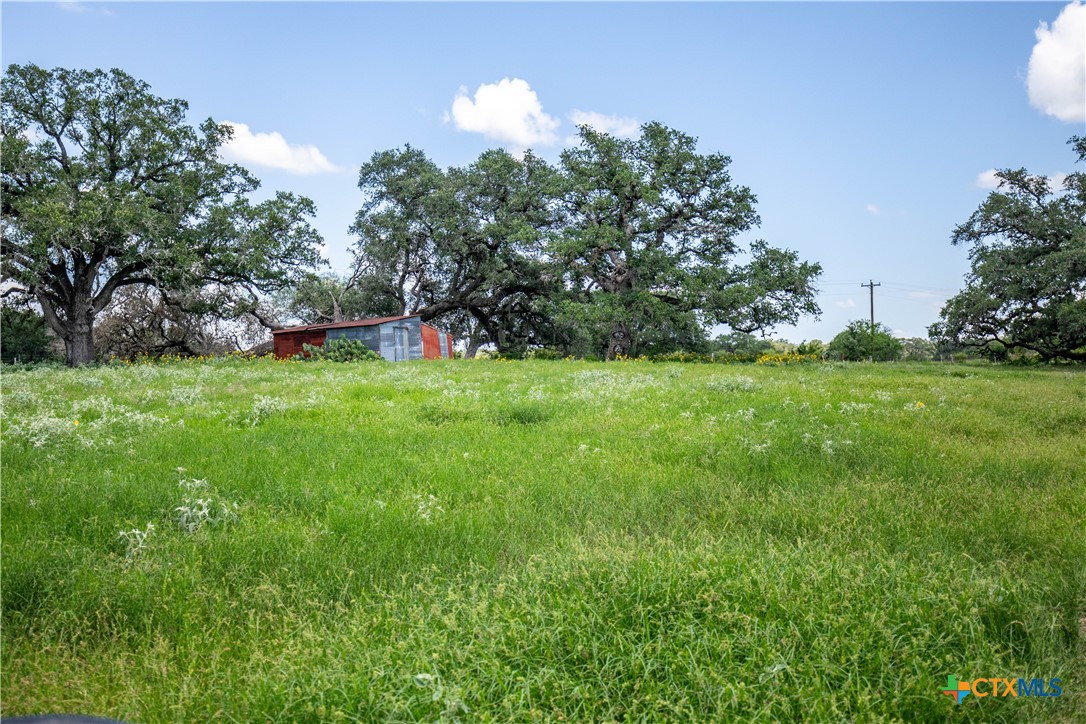 Heritage Oaks Ranch | 125± Acres | Yorktown, DeWitt County