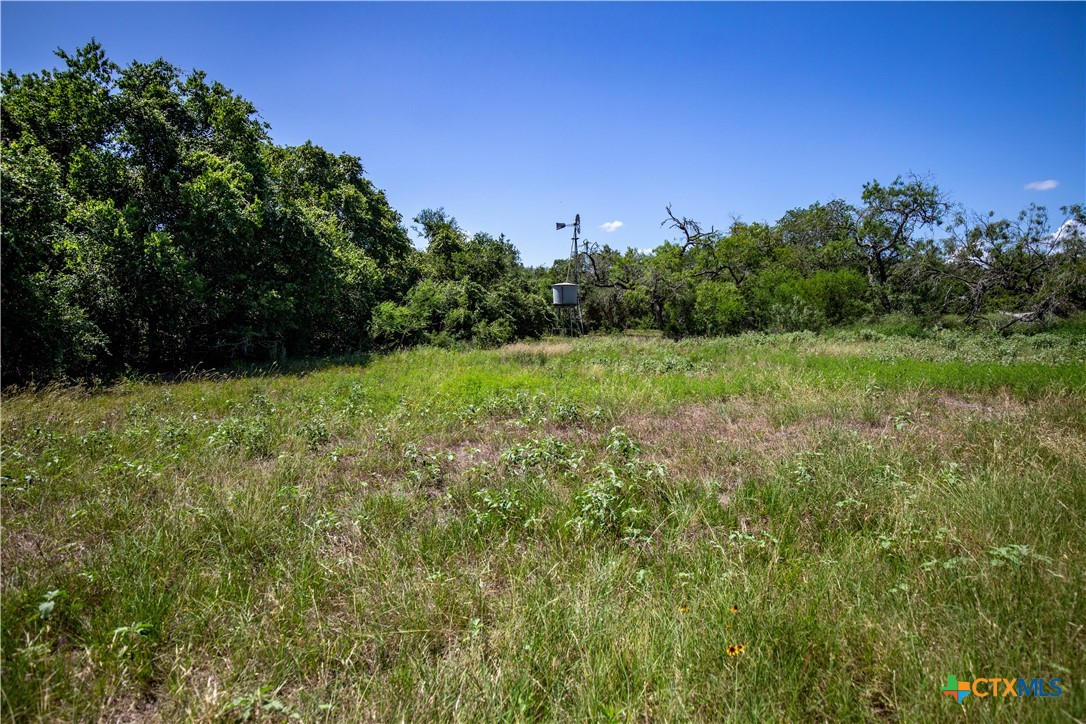 Heritage Oaks Ranch | 125± Acres | Yorktown, DeWitt County