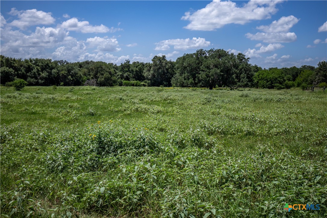 Heritage Oaks Ranch | 125± Acres | Yorktown, DeWitt County