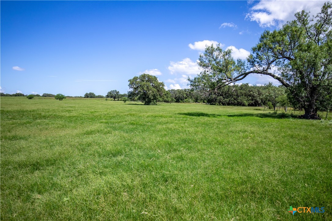 Heritage Oaks Ranch | 125± Acres | Yorktown, DeWitt County