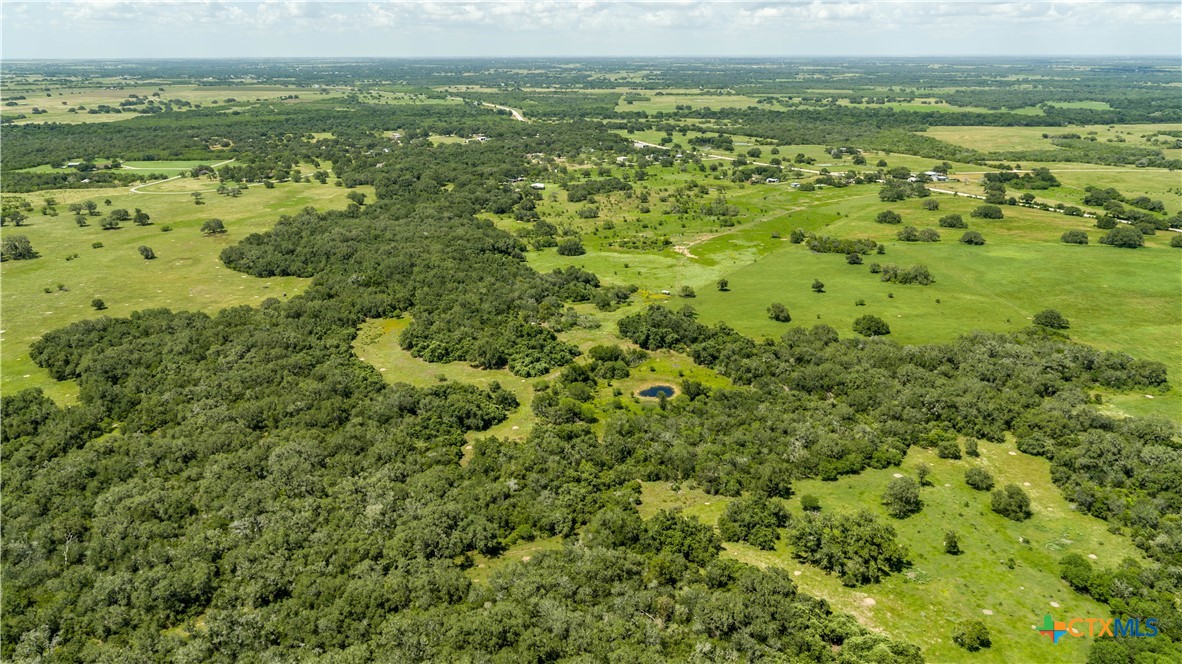 Heritage Oaks Ranch | 125± Acres | Yorktown, DeWitt County