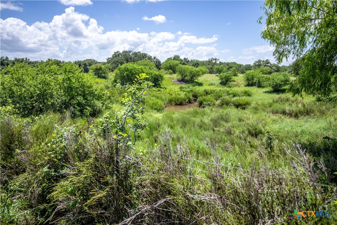 Heritage Oaks Ranch | 125± Acres | Yorktown, DeWitt County