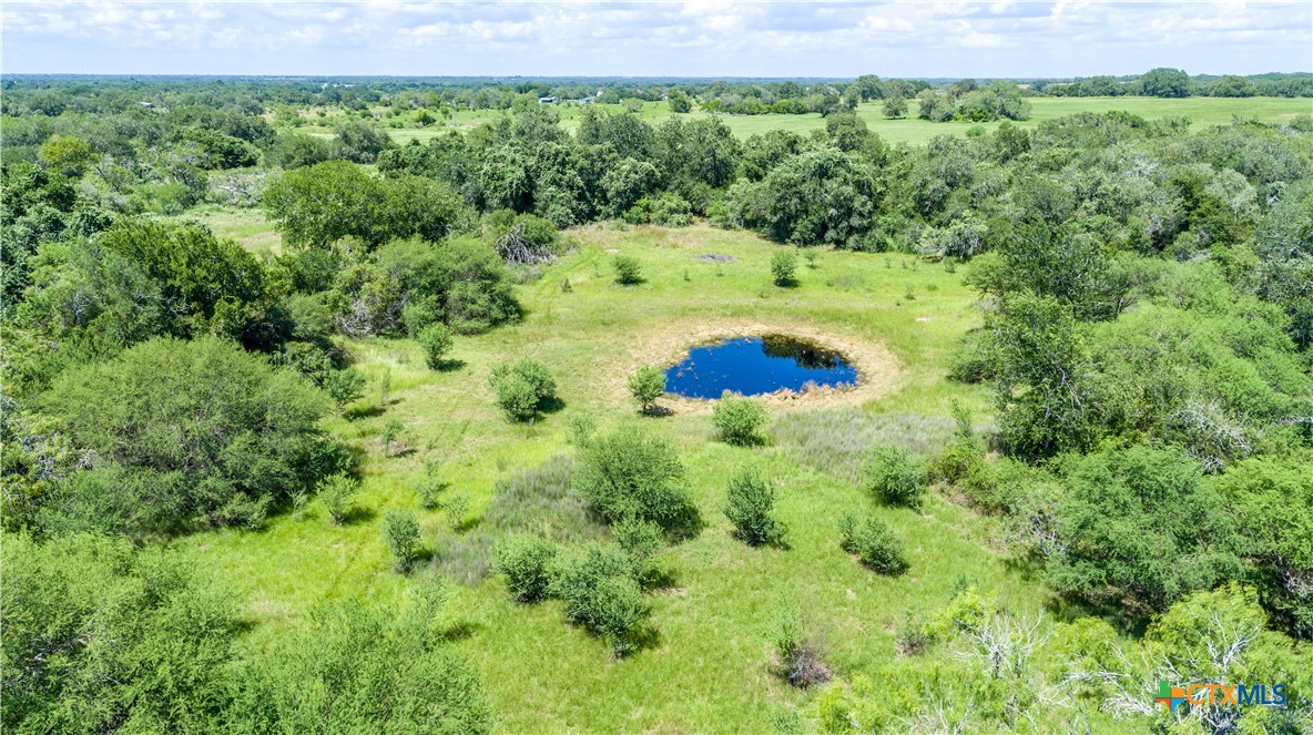 Heritage Oaks Ranch | 125± Acres | Yorktown, DeWitt County