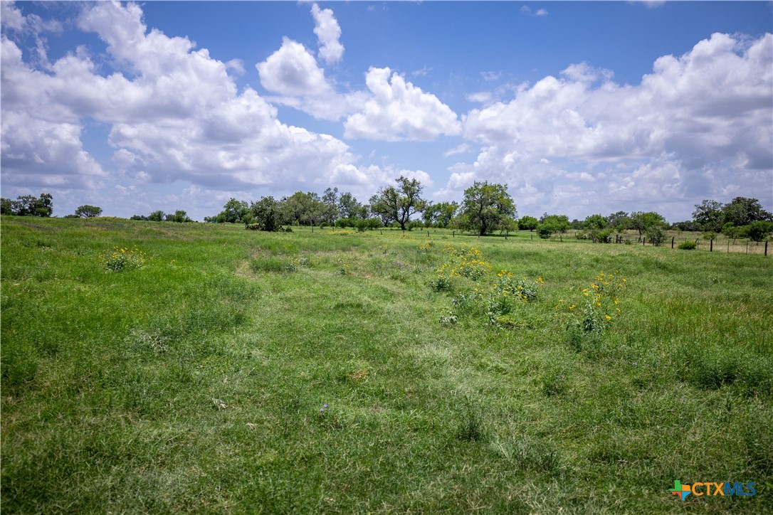 Heritage Oaks Ranch | 125± Acres | Yorktown, DeWitt County