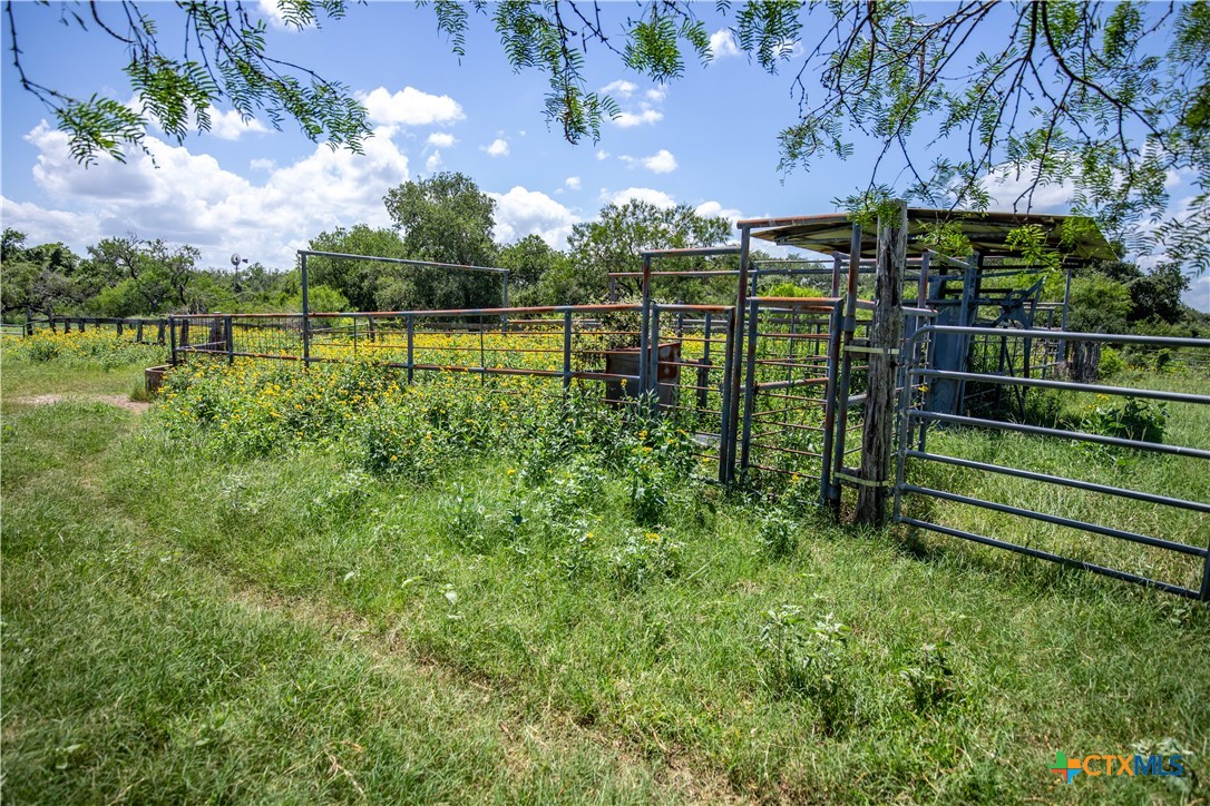 Heritage Oaks Ranch | 125± Acres | Yorktown, DeWitt County