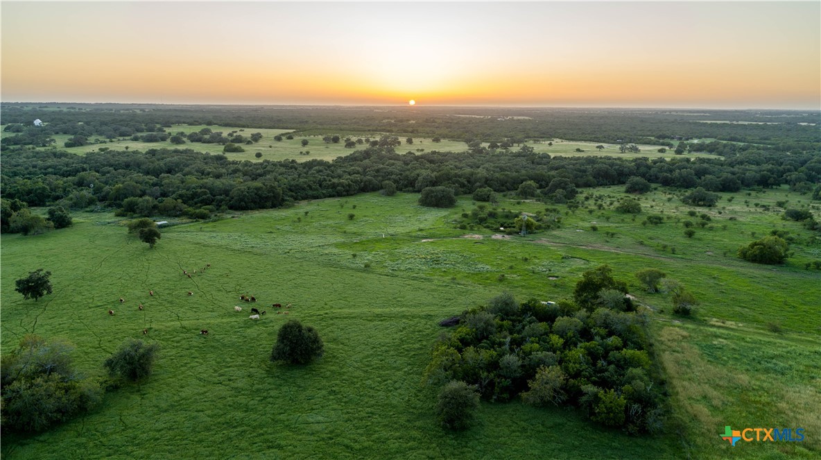 Heritage Oaks Ranch | 125± Acres | Yorktown, DeWitt County