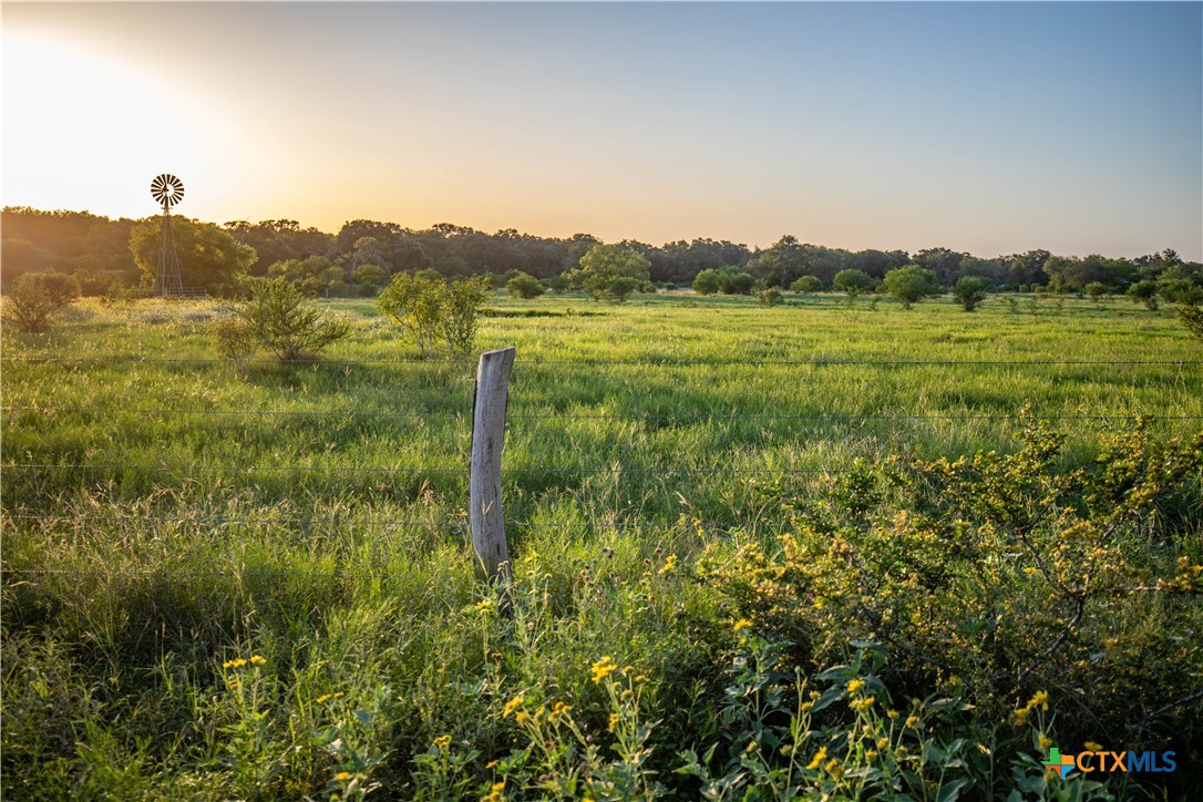 Heritage Oaks Ranch | 125± Acres | Yorktown, DeWitt County