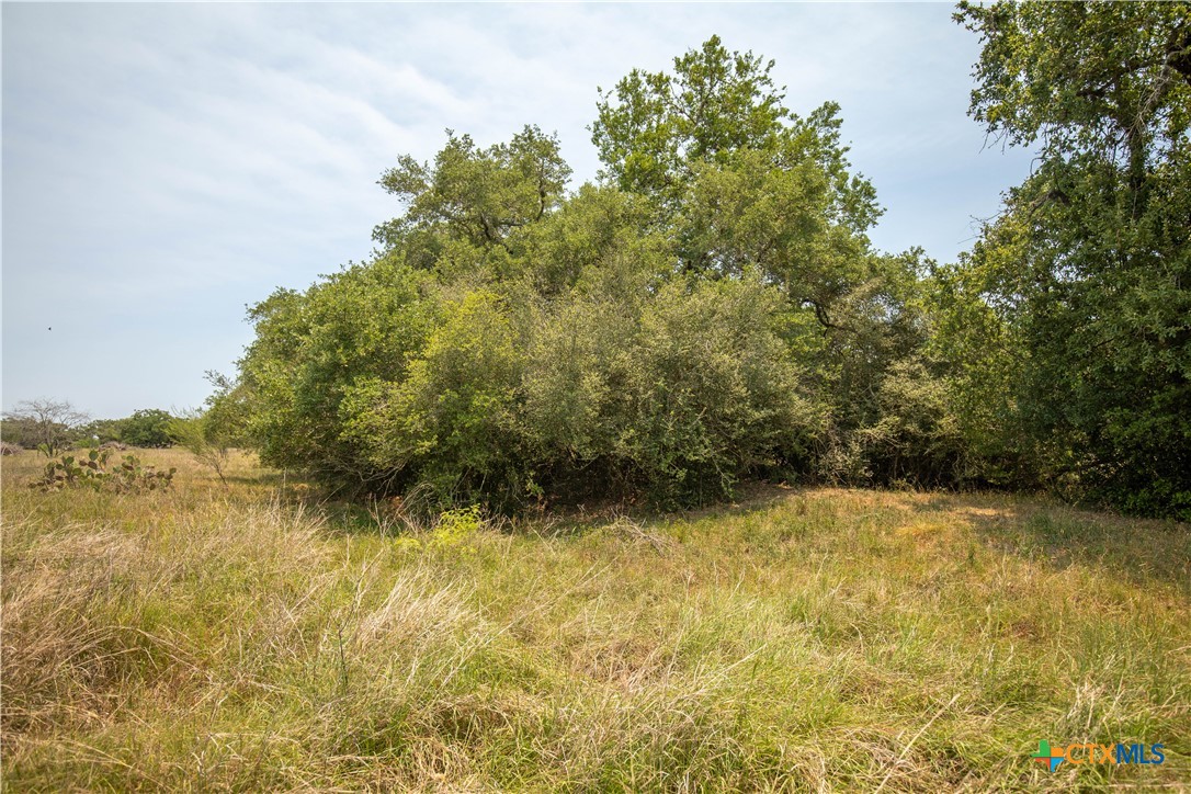 32.56± Acres | Cuero, DeWitt County, TX | Green DeWitt Rd