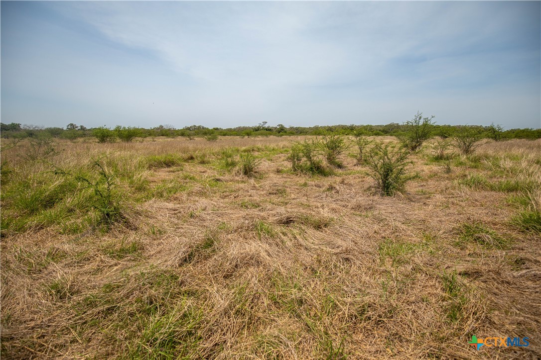 32.56± Acres | Cuero, DeWitt County, TX | Green DeWitt Rd