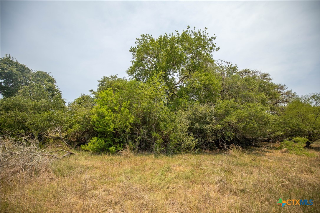 32.56± Acres | Cuero, DeWitt County, TX | Green DeWitt Rd