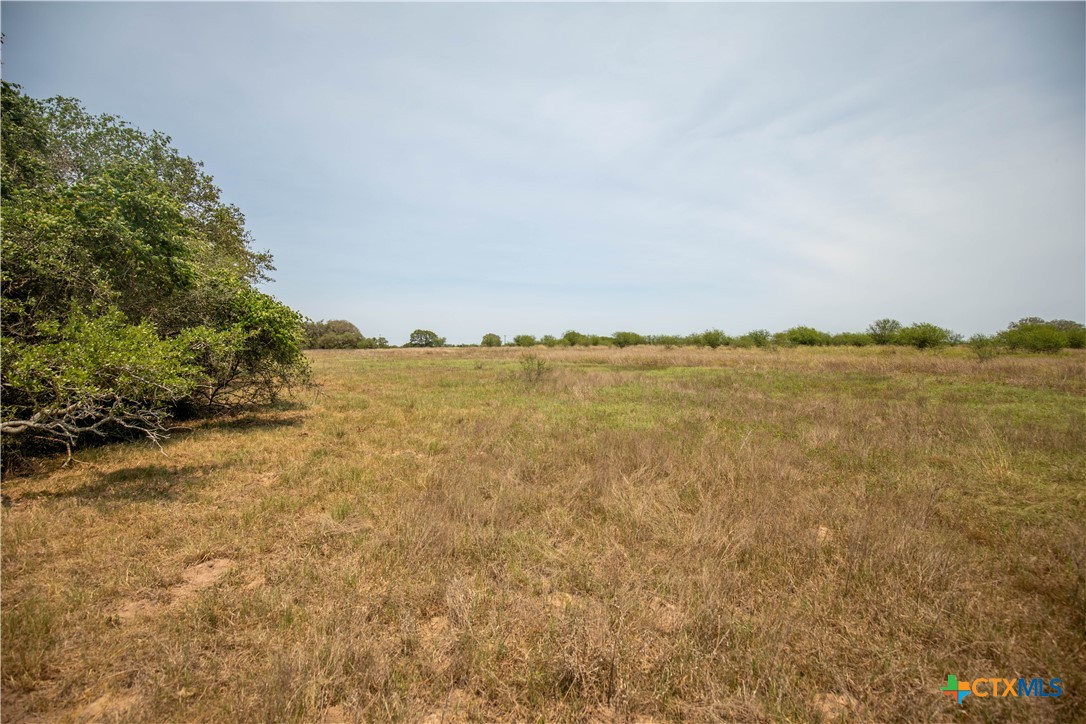 32.56± Acres | Cuero, DeWitt County, TX | Green DeWitt Rd