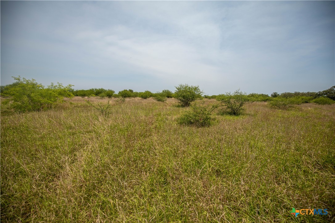 32.56± Acres | Cuero, DeWitt County, TX | Green DeWitt Rd
