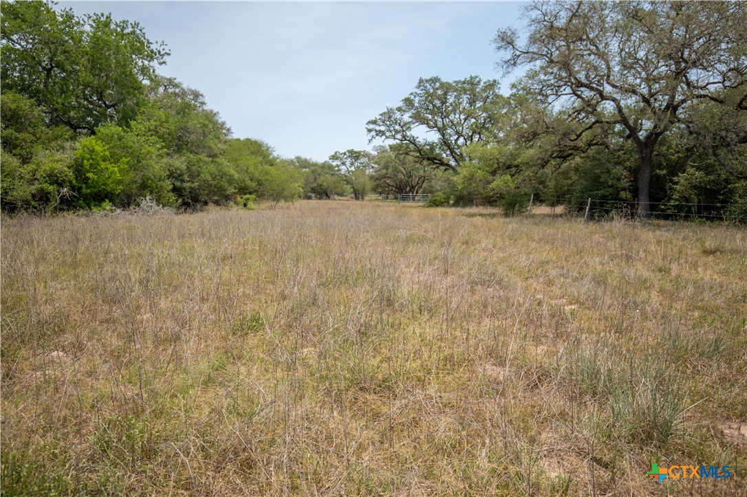 32.56± Acres | Cuero, DeWitt County, TX | Green DeWitt Rd