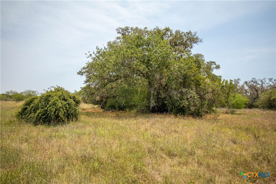 32.56± Acres | Cuero, DeWitt County, TX | Green DeWitt Rd