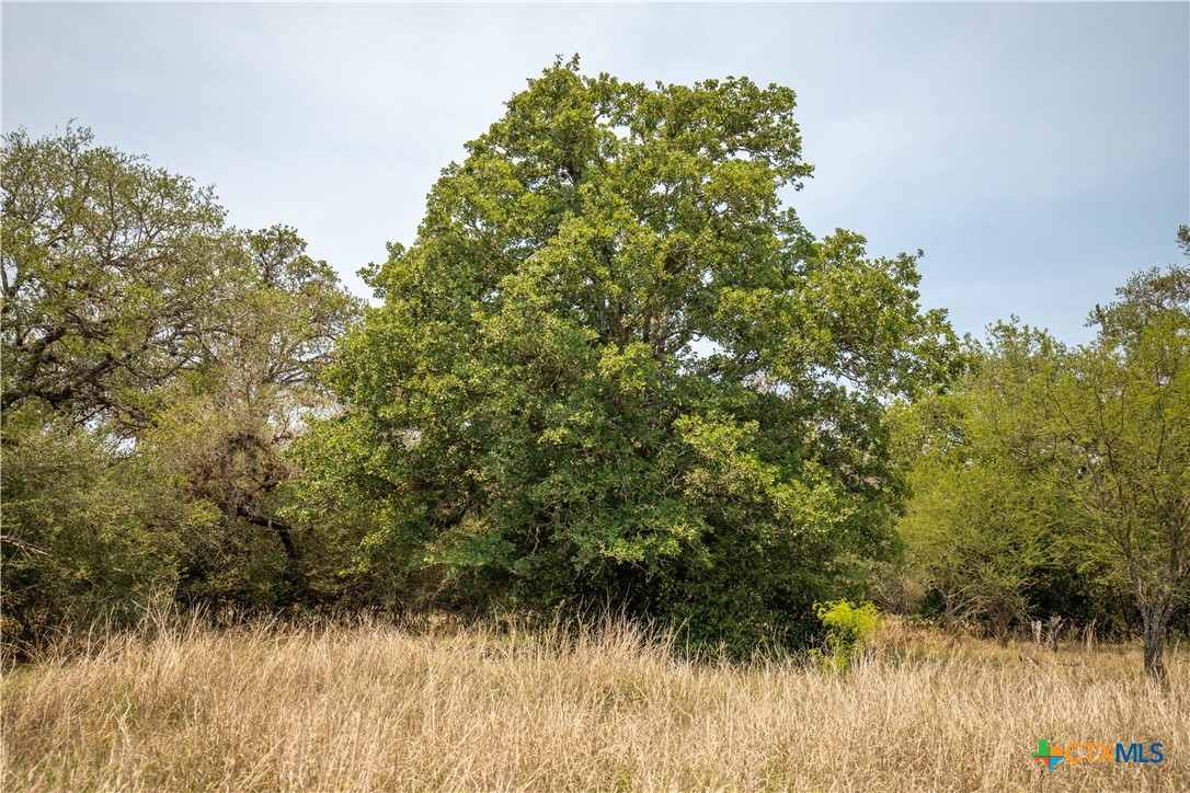 32.56± Acres | Cuero, DeWitt County, TX | Green DeWitt Rd