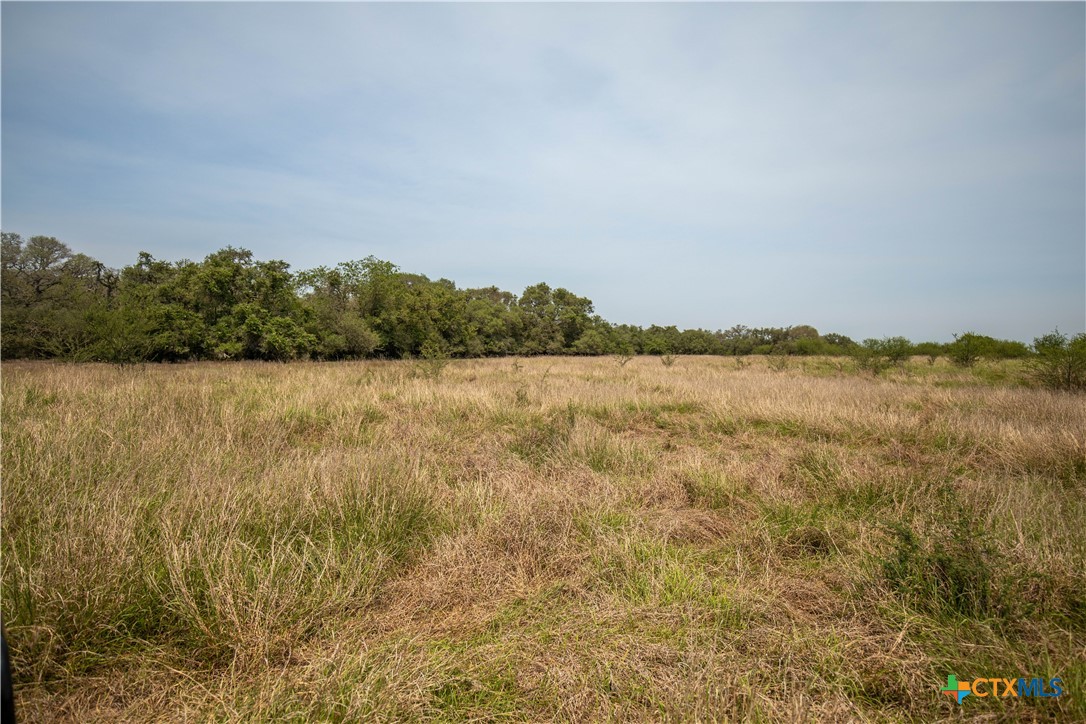 32.56± Acres | Cuero, DeWitt County, TX | Green DeWitt Rd