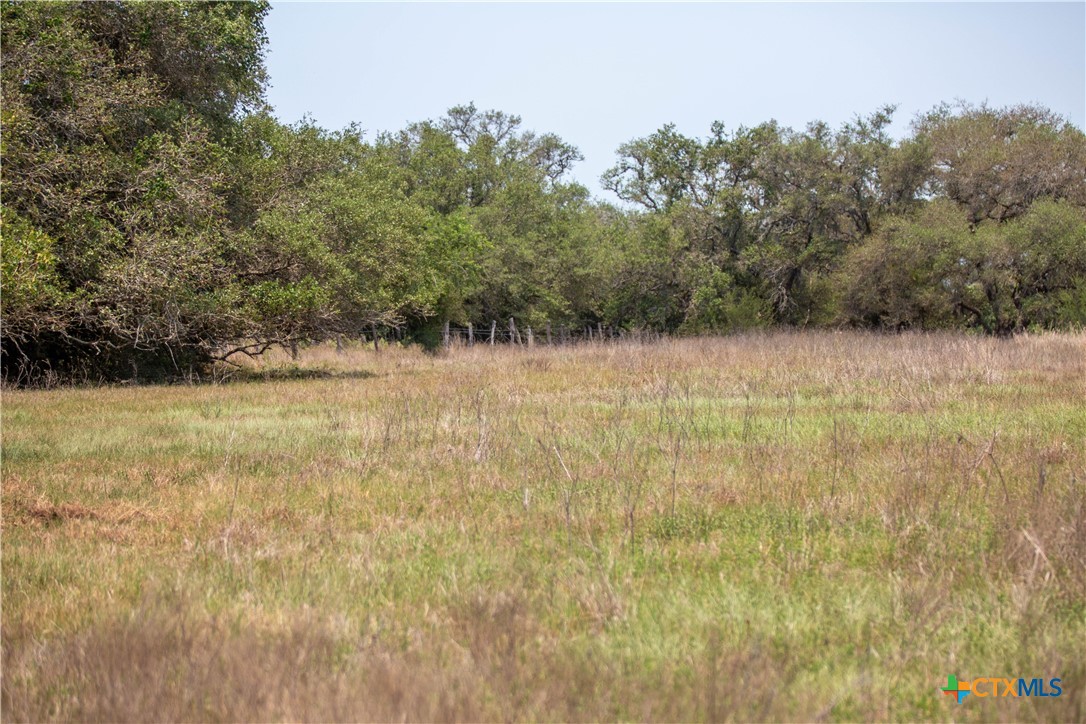 32.56± Acres | Cuero, DeWitt County, TX | Green DeWitt Rd