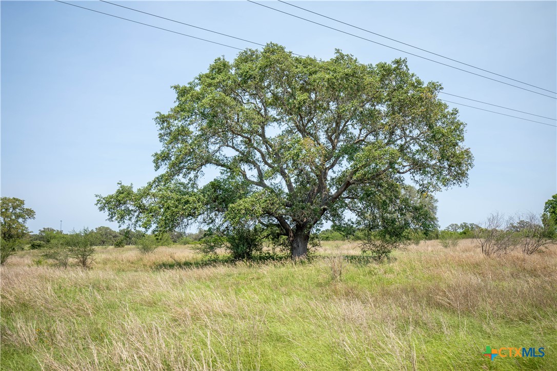32.56± Acres | Cuero, DeWitt County, TX | Green DeWitt Rd