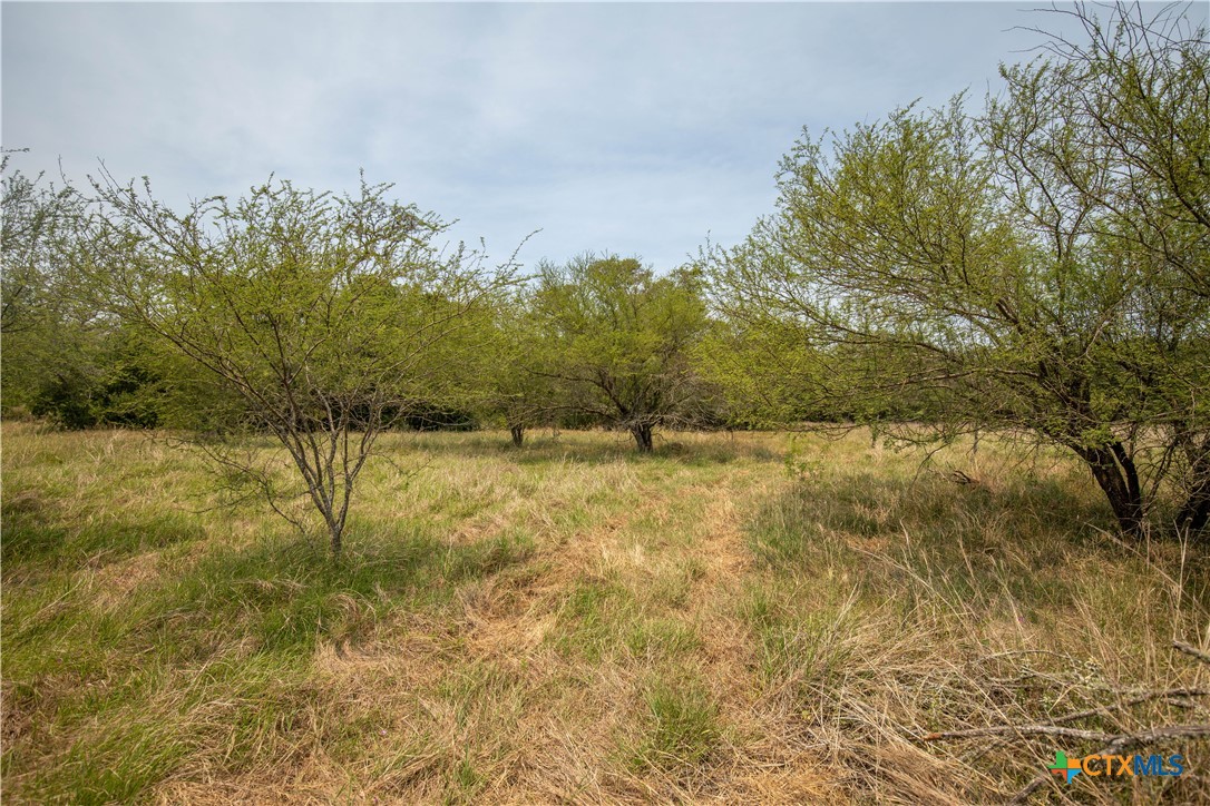 32.56± Acres | Cuero, DeWitt County, TX | Green DeWitt Rd