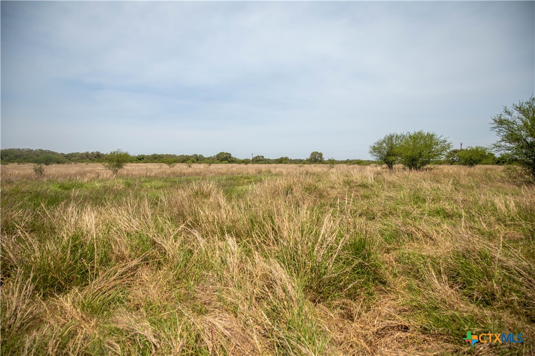32.56± Acres | Cuero, DeWitt County, TX | Green DeWitt Rd
