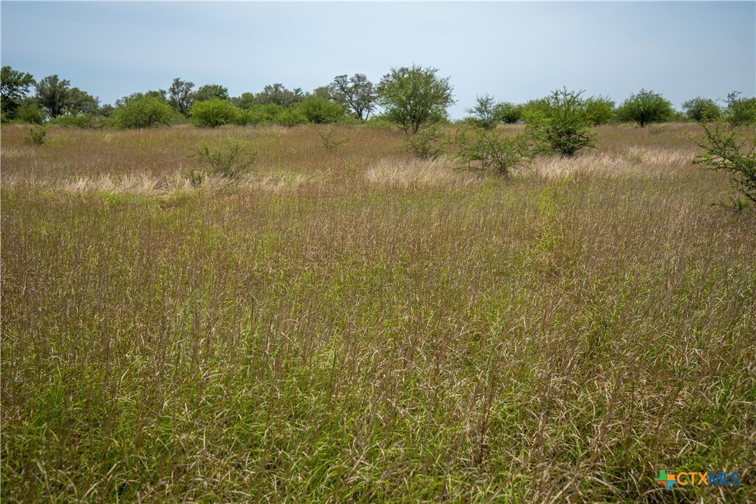 32.56± Acres | Cuero, DeWitt County, TX | Green DeWitt Rd