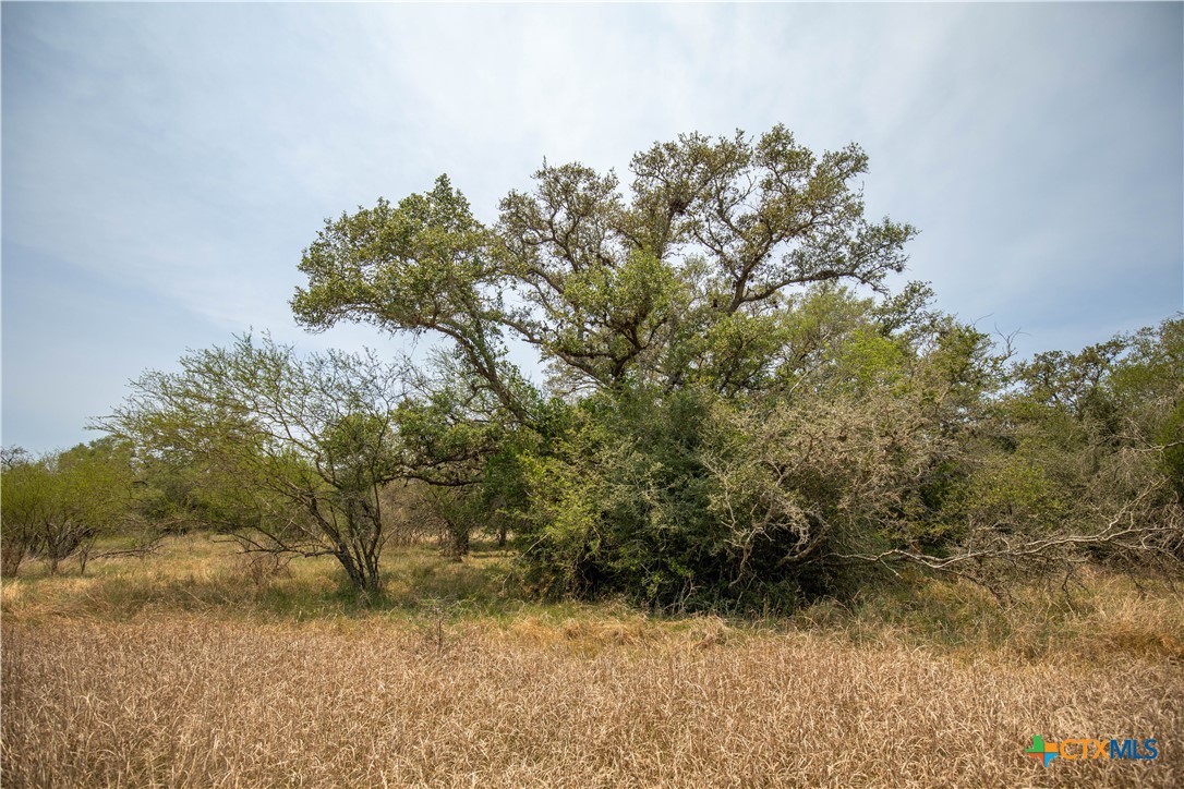 32.56± Acres | Cuero, DeWitt County, TX | Green DeWitt Rd