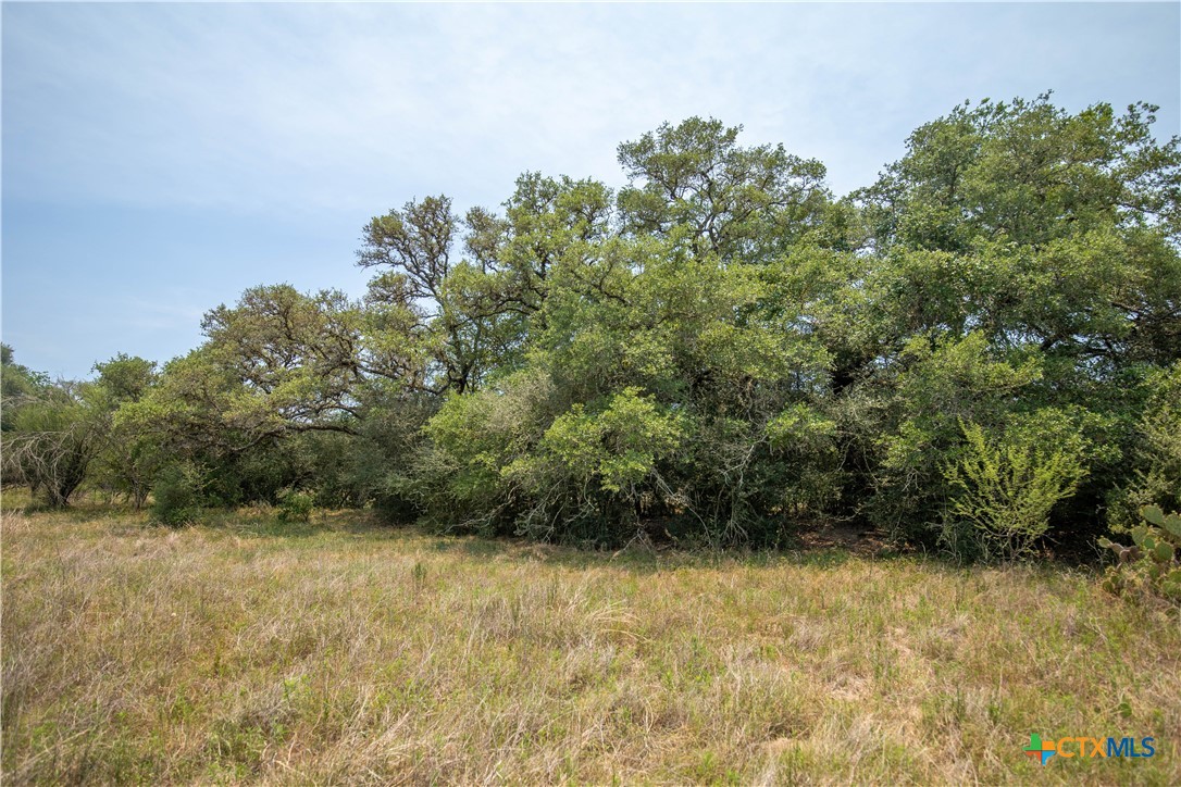 32.56± Acres | Cuero, DeWitt County, TX | Green DeWitt Rd