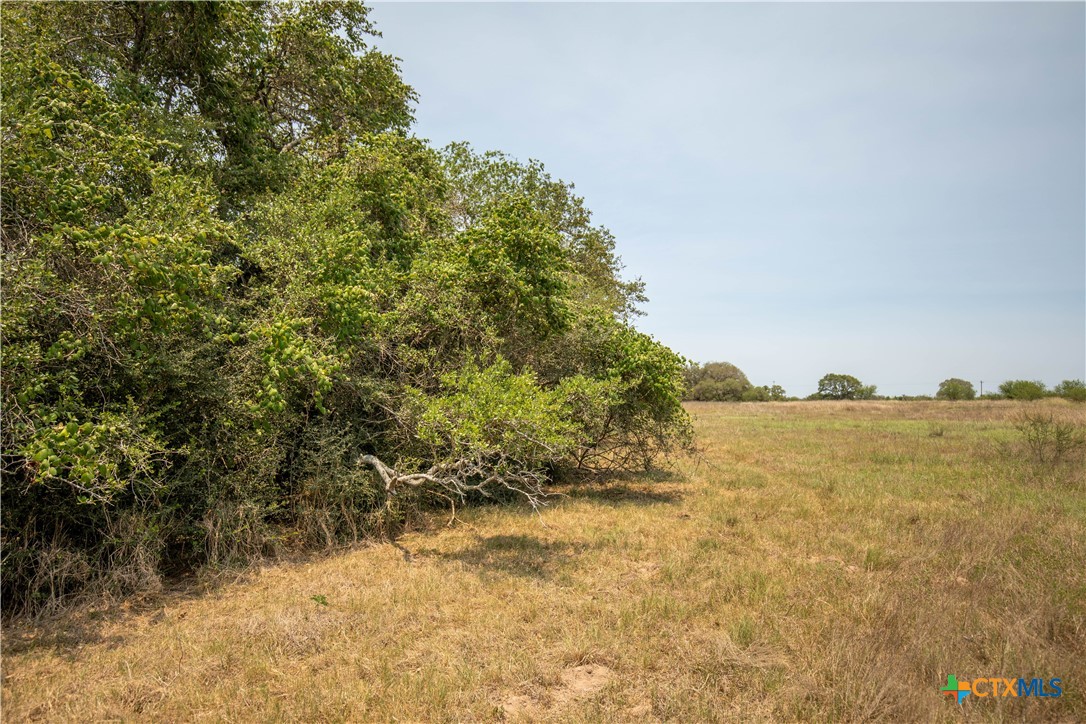 32.56± Acres | Cuero, DeWitt County, TX | Green DeWitt Rd
