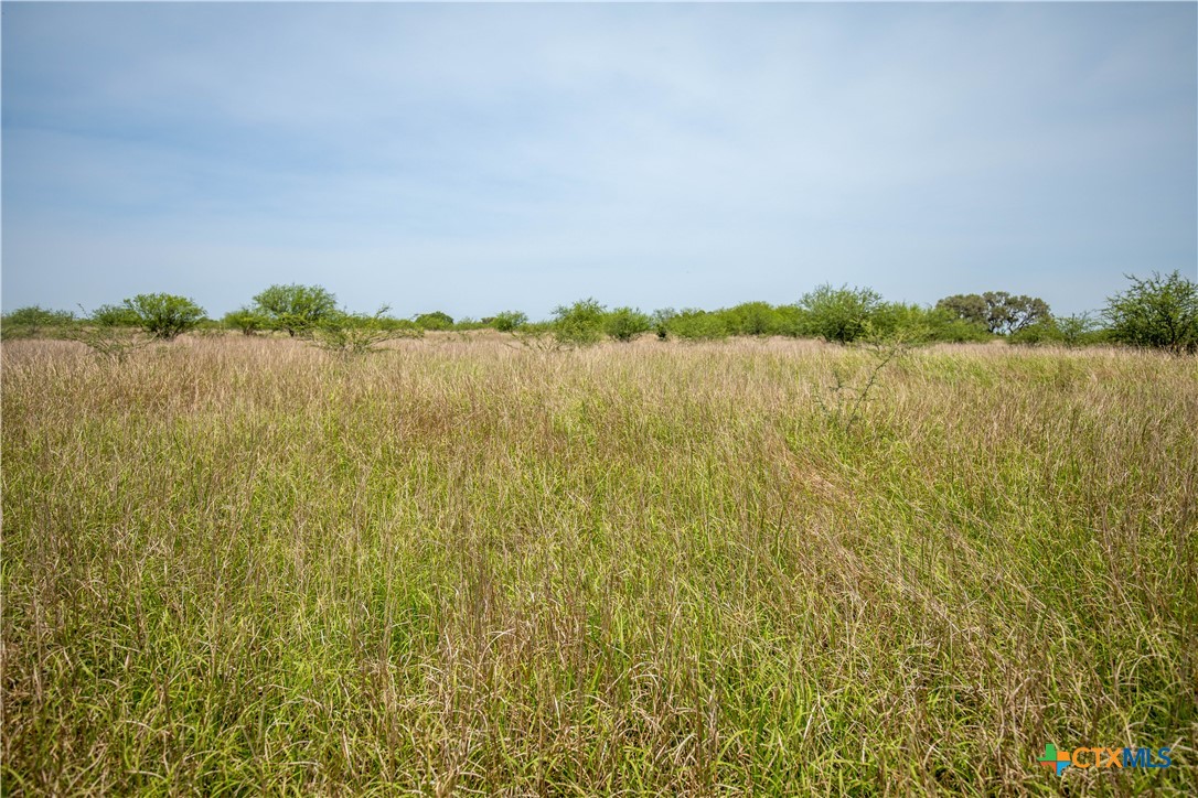32.56± Acres | Cuero, DeWitt County, TX | Green DeWitt Rd