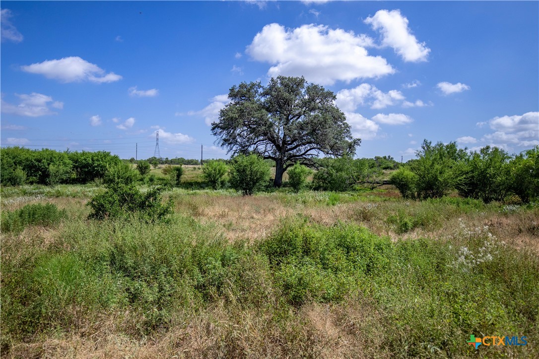 Donop Commercial Development | 54.36 ± Acres | Bexar County